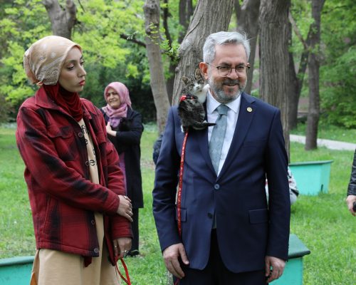 Ankara Üniversitesinden Kampüsteki Kedilere Sıcak Yuva